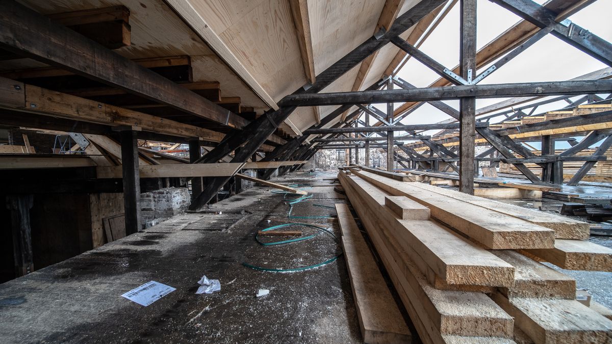 Vue détaillée de poutres en bois formant l'ossature d'un plancher avant coulage de la dalle béton